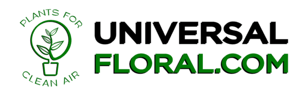 Home - Universal Floral - Northern Cross Business Park, 11, Finglas ...